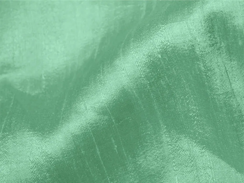 Mint Green Plain Bangalore Raw Silk Fabric