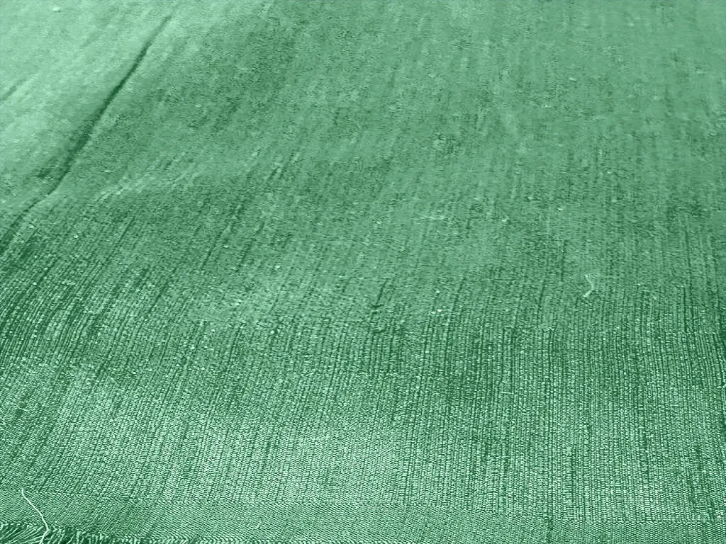 Mint Green Plain Bangalore Raw Silk Fabric